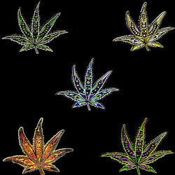 Trippy Mandala Leaves v2